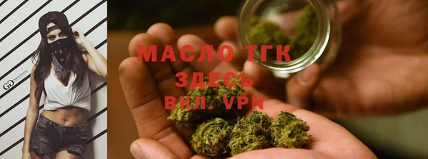 шишки Няндома