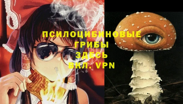 дживик Абинск