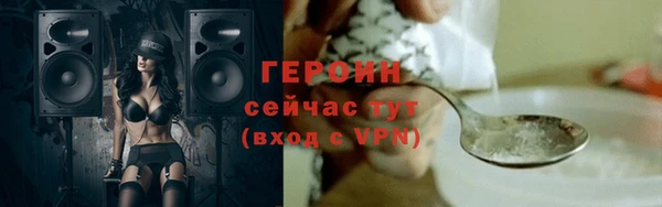 шишки Няндома