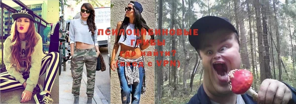 дживик Абинск