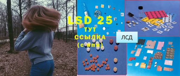 дживик Абинск