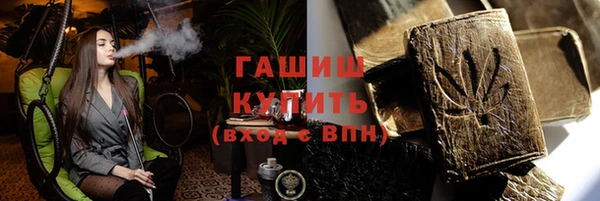 шишки Няндома