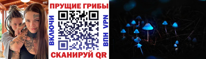 Галлюциногенные грибы Magic Shrooms Рыльск
